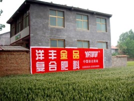 宜阳县如何让墙体广告展现最大化效果
