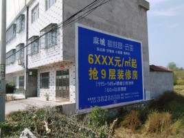 宜阳县墙体广告质量分析